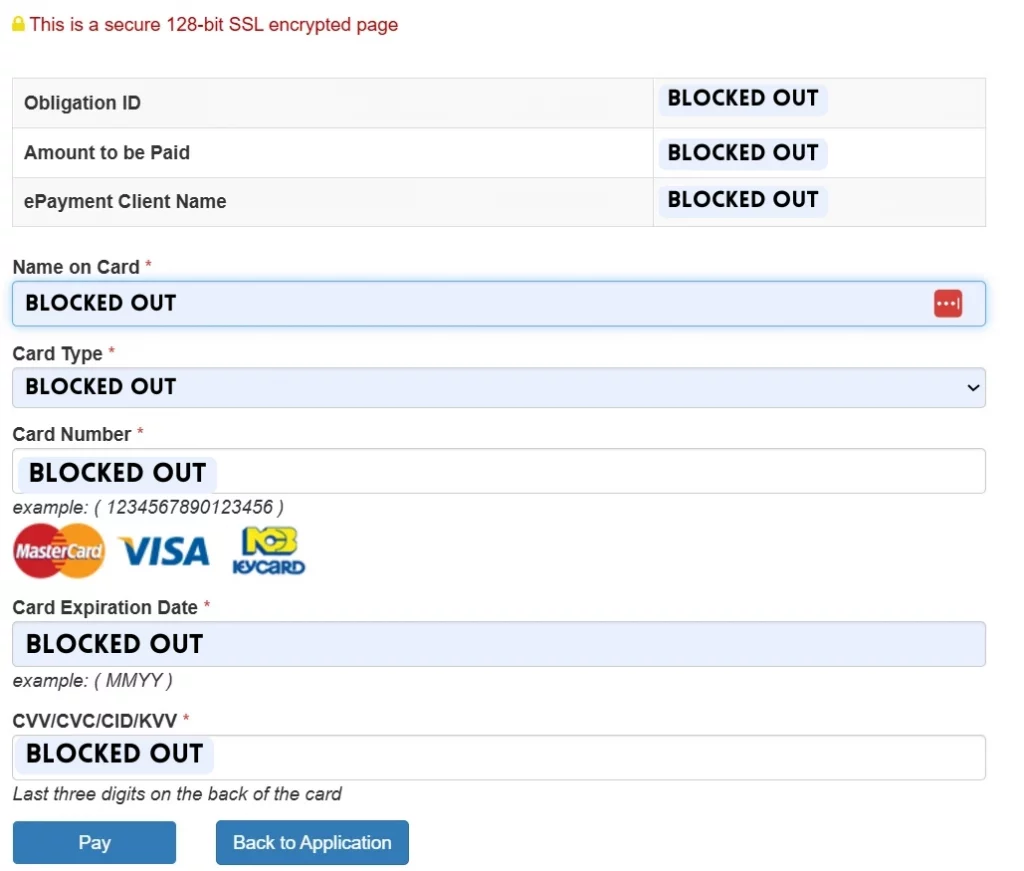 Enter Your Payment Details