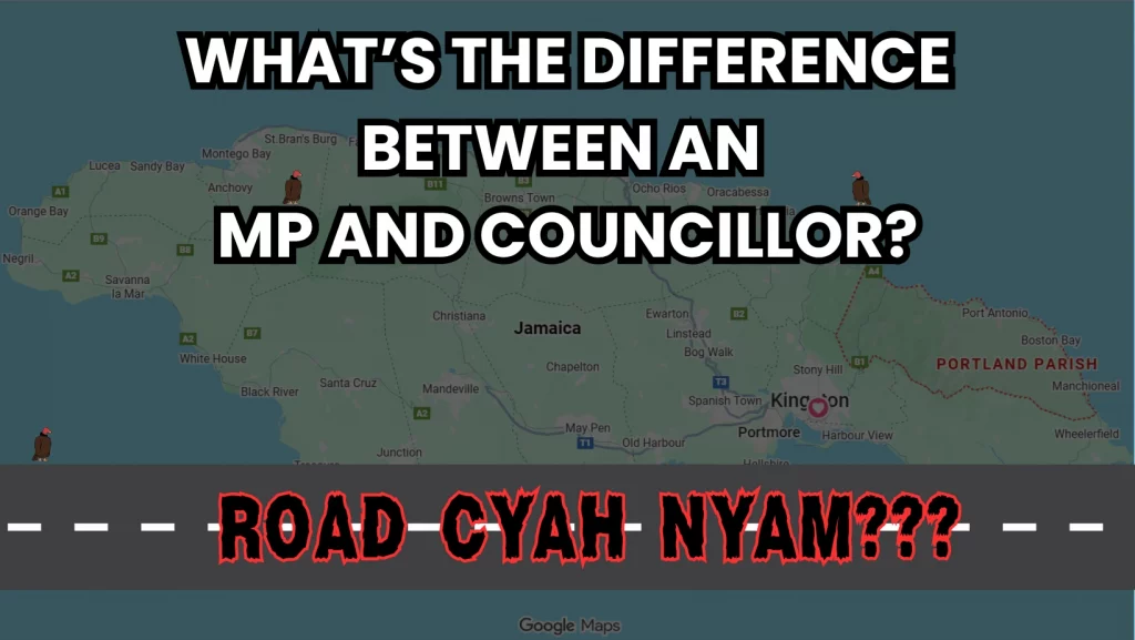 What's the Difference Between the MP and Councillor?