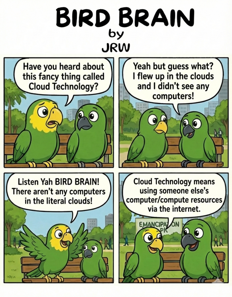 Bird Brain #2 - Cloud Computers