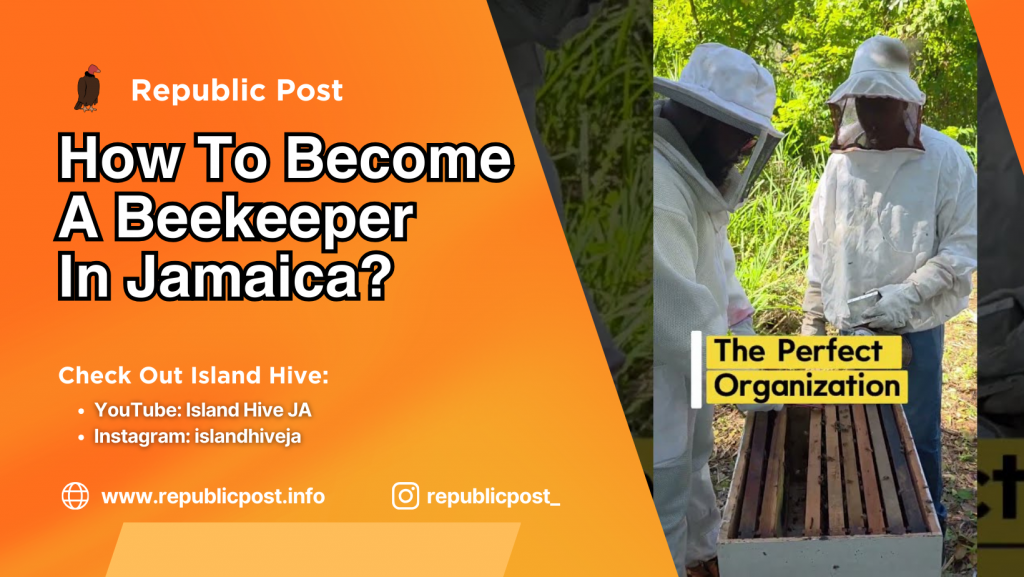 How To Become A Beekeeper In Jamaica