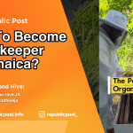 How To Become A Beekeeper In Jamaica