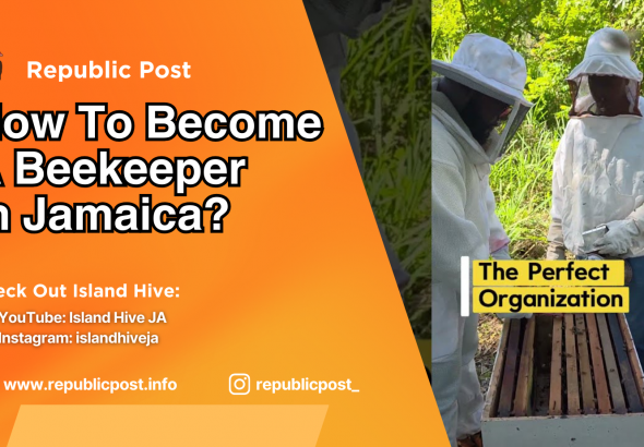 How To Become A Beekeeper In Jamaica