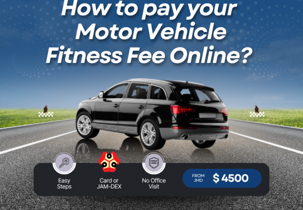 How To Pay For Your Motor Vehicle Fitness Online